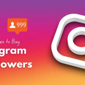 Best Site to Buy Instagram Followers 