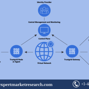 software defined perimeter market