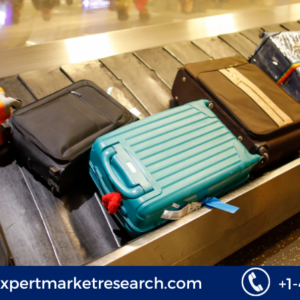 Airport Baggage Handling System Market Growth