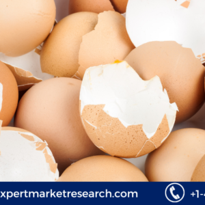 Eggshell Membrane Derivatives Market Growth