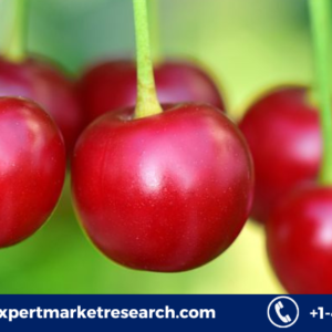 Red Berries Market Trends