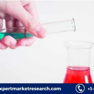 Solvent Market Share